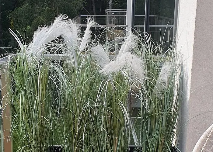 Sloneczny A208 Przy Samym Morzu